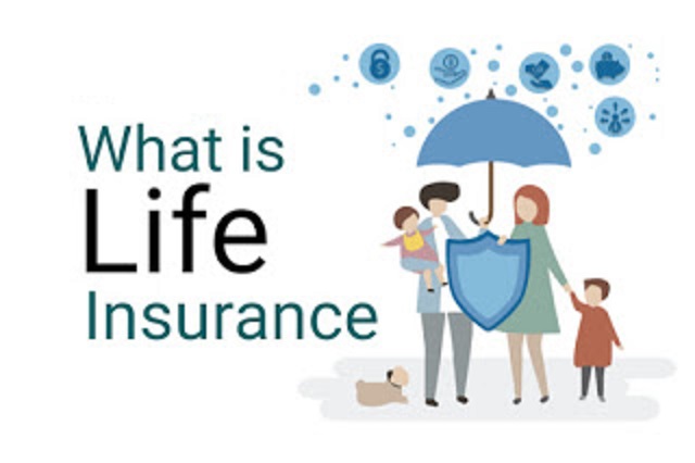 What is Life Insurance?